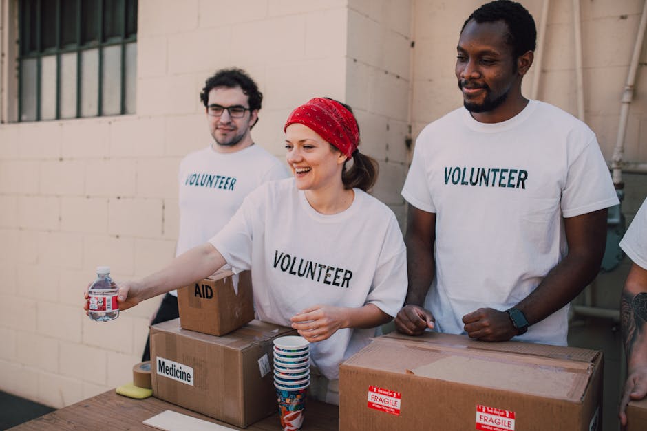 Getting Started as a Volunteer in Leigh Park